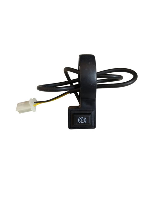 Single Function Parking Switch  Image