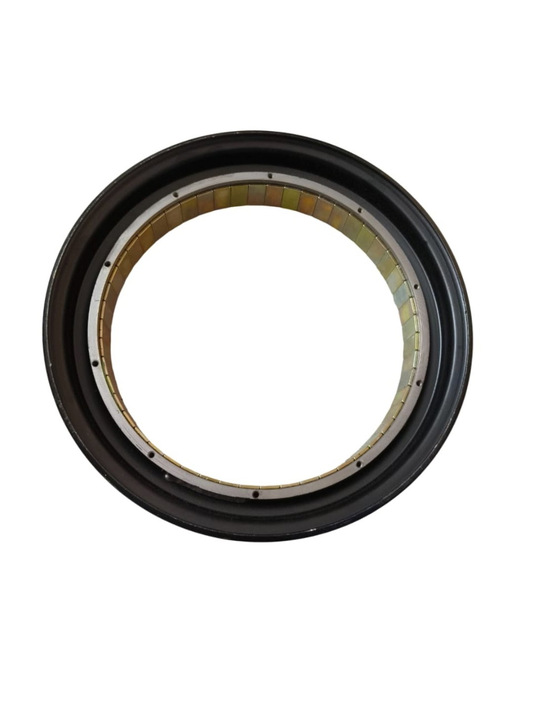 Motor Magnet Rim 10 Inch 