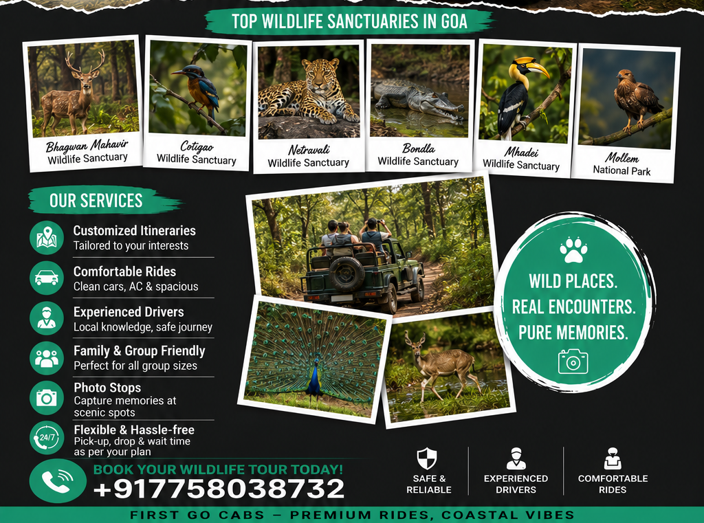 Goa sightseeing cab service by FirstGo Cabs