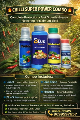 SUPER DUPER CHILI COMBO  Image