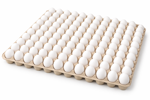 White Egg Box