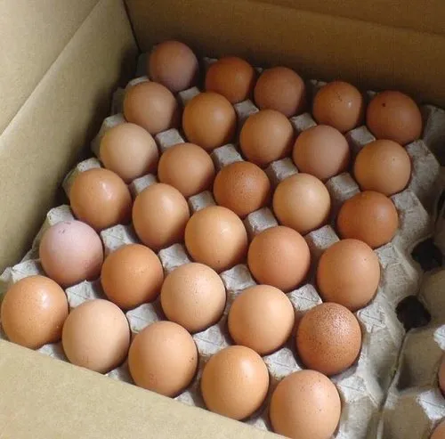 Brown Egg Box Image