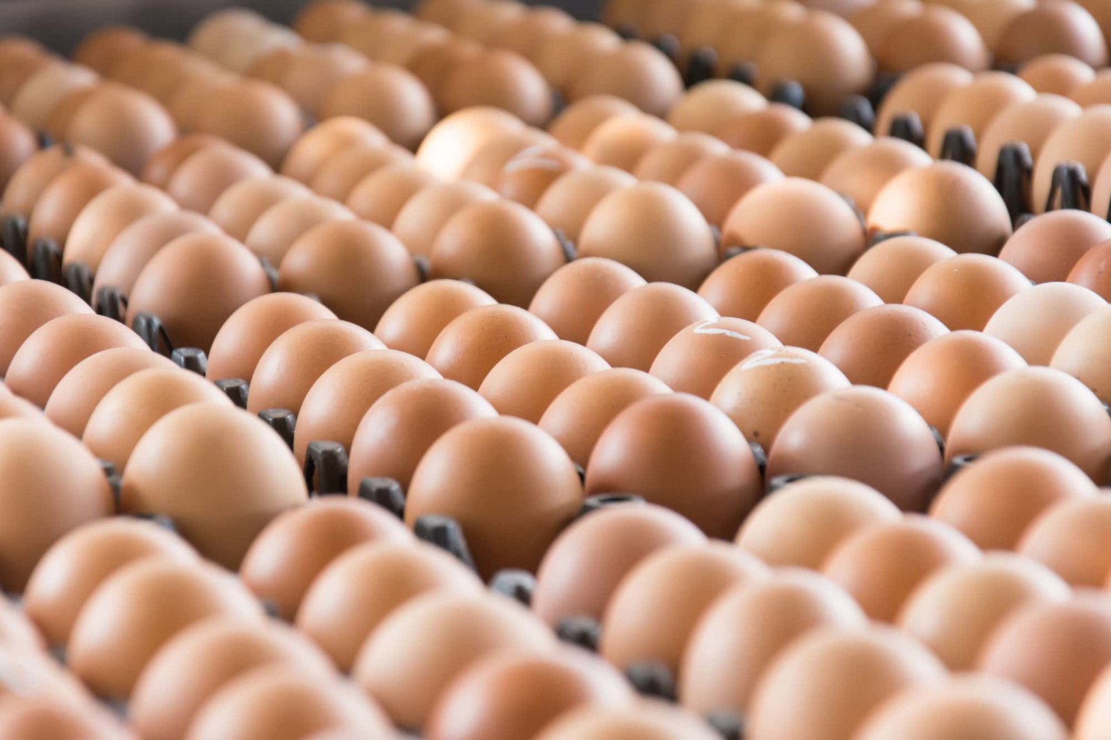 Brown Egg Box
