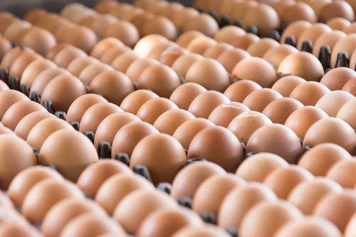 Brown Egg Box