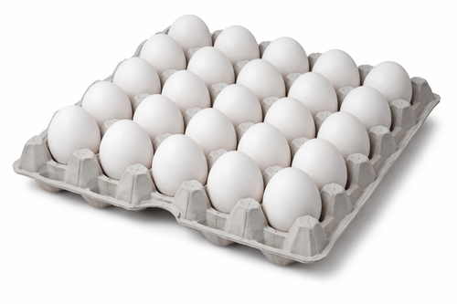 White Egg Tray Image