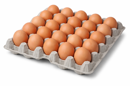 Brown Egg Tray Image