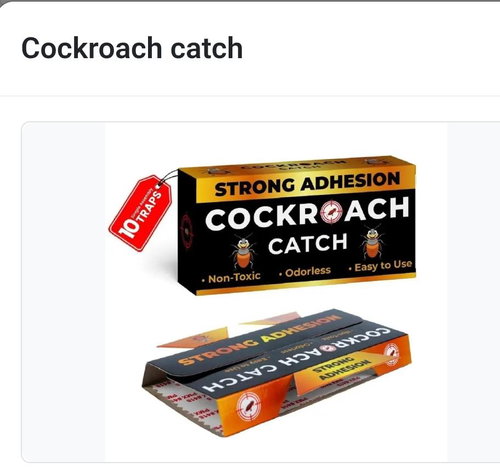 Cockroch catch  Image
