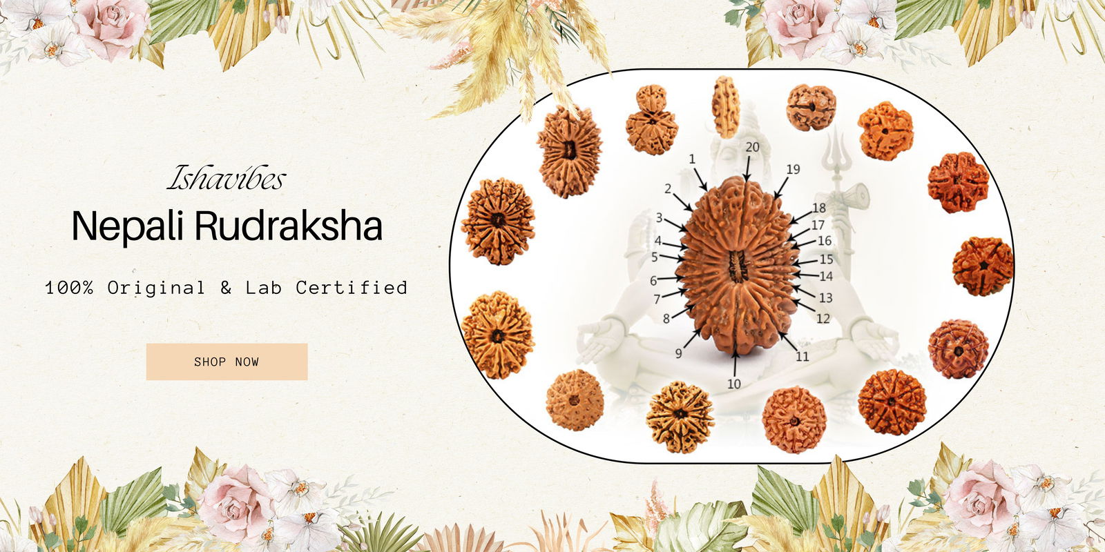 PURE RUDRAKSHA