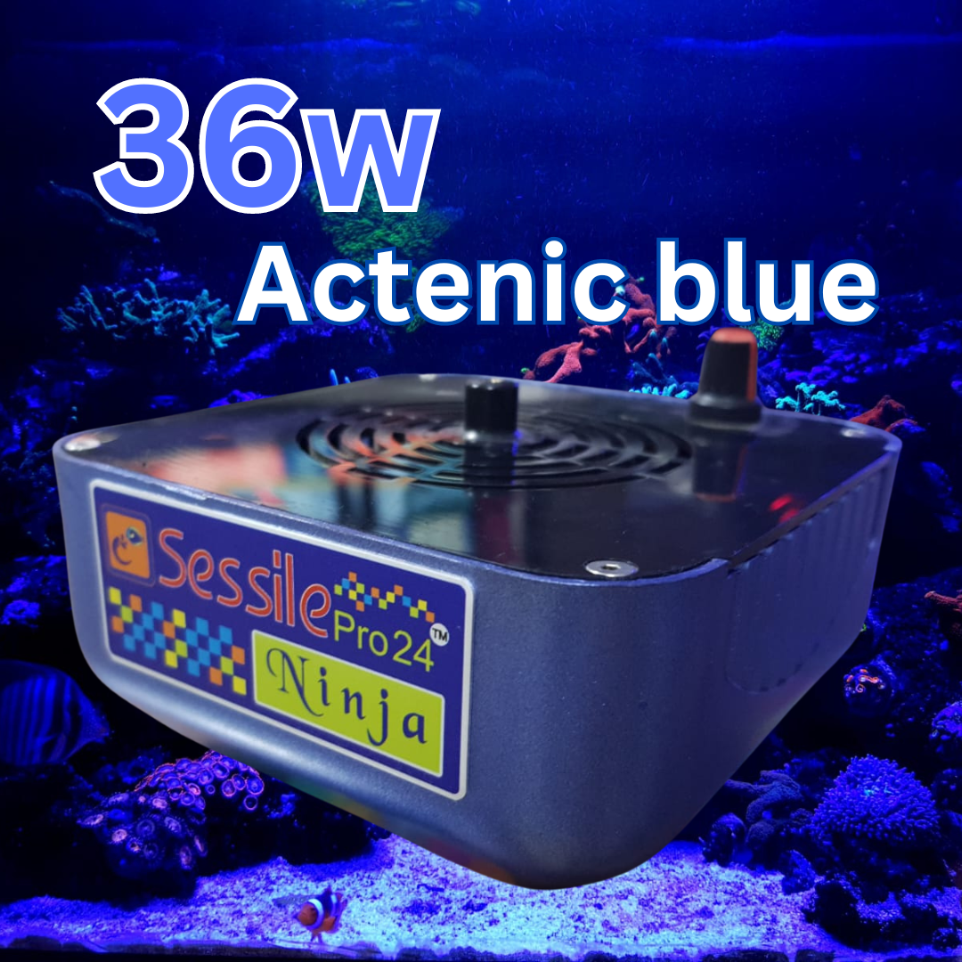 NINJA- Actinic Blue -36W Image 