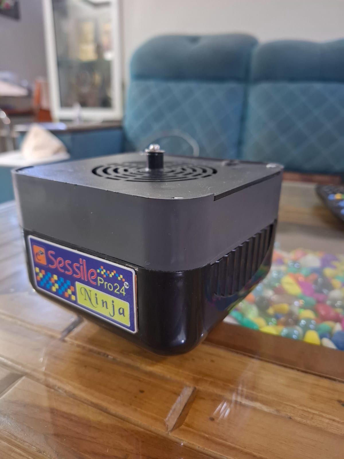 Sessile pro 24 - NInja - Wi-Fi - 60W Image 