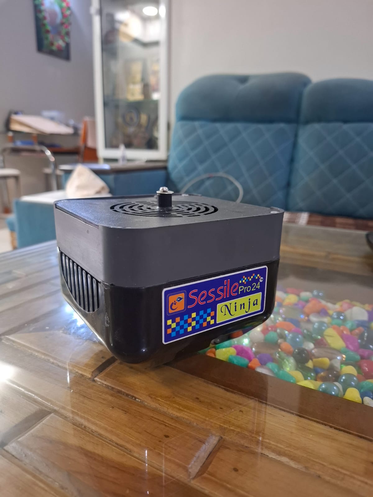Sessile pro 24 - NInja - Wi-Fi - 60W Image 