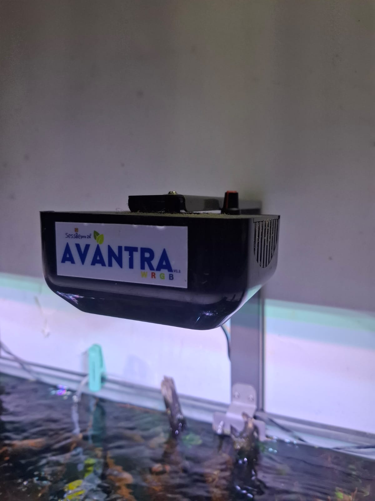 Sessile - AVANTRA - Hi-Tech planted light Image 