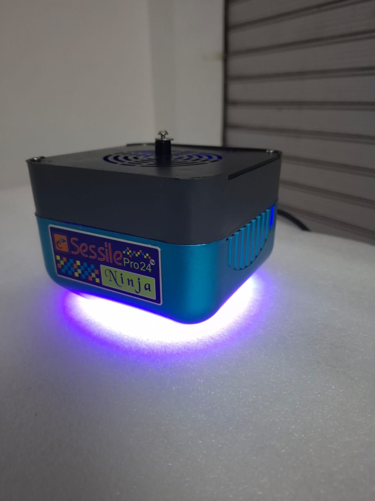 Sessile pro 24 - NInja - Wi-Fi - 60W Image 