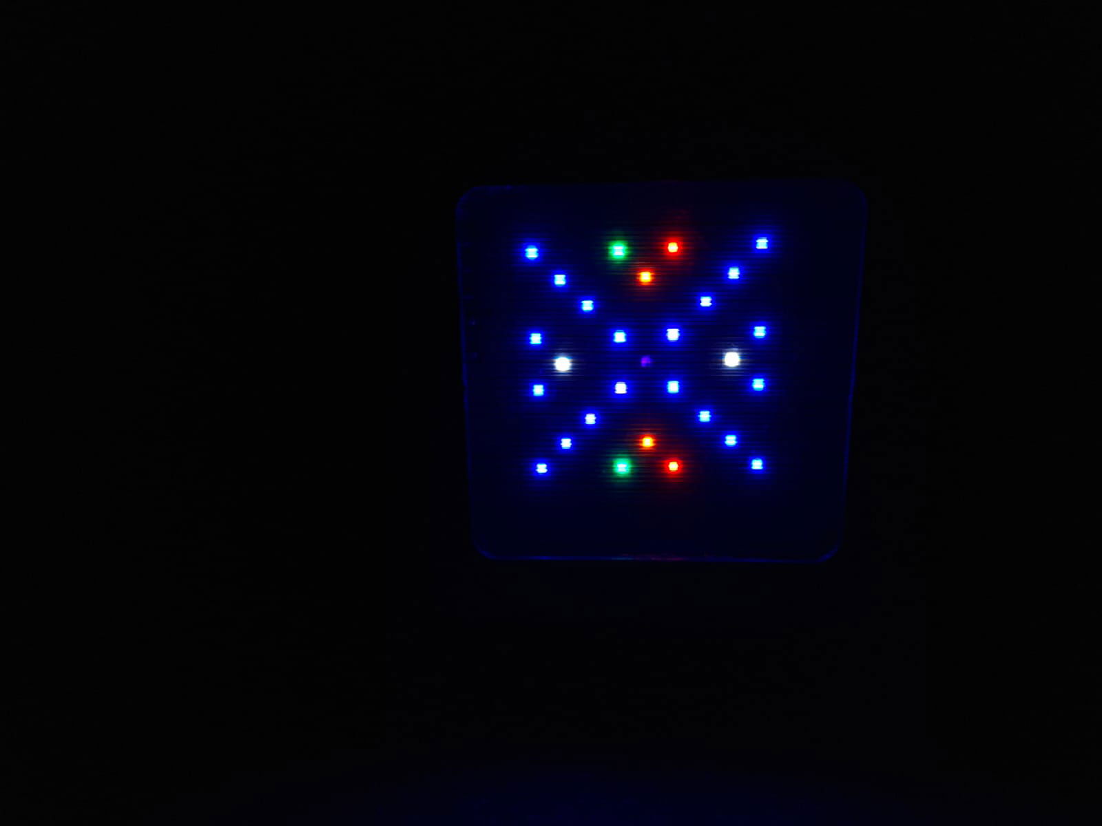 Sessile pro 24 - NInja - Wi-Fi - 60W Image 