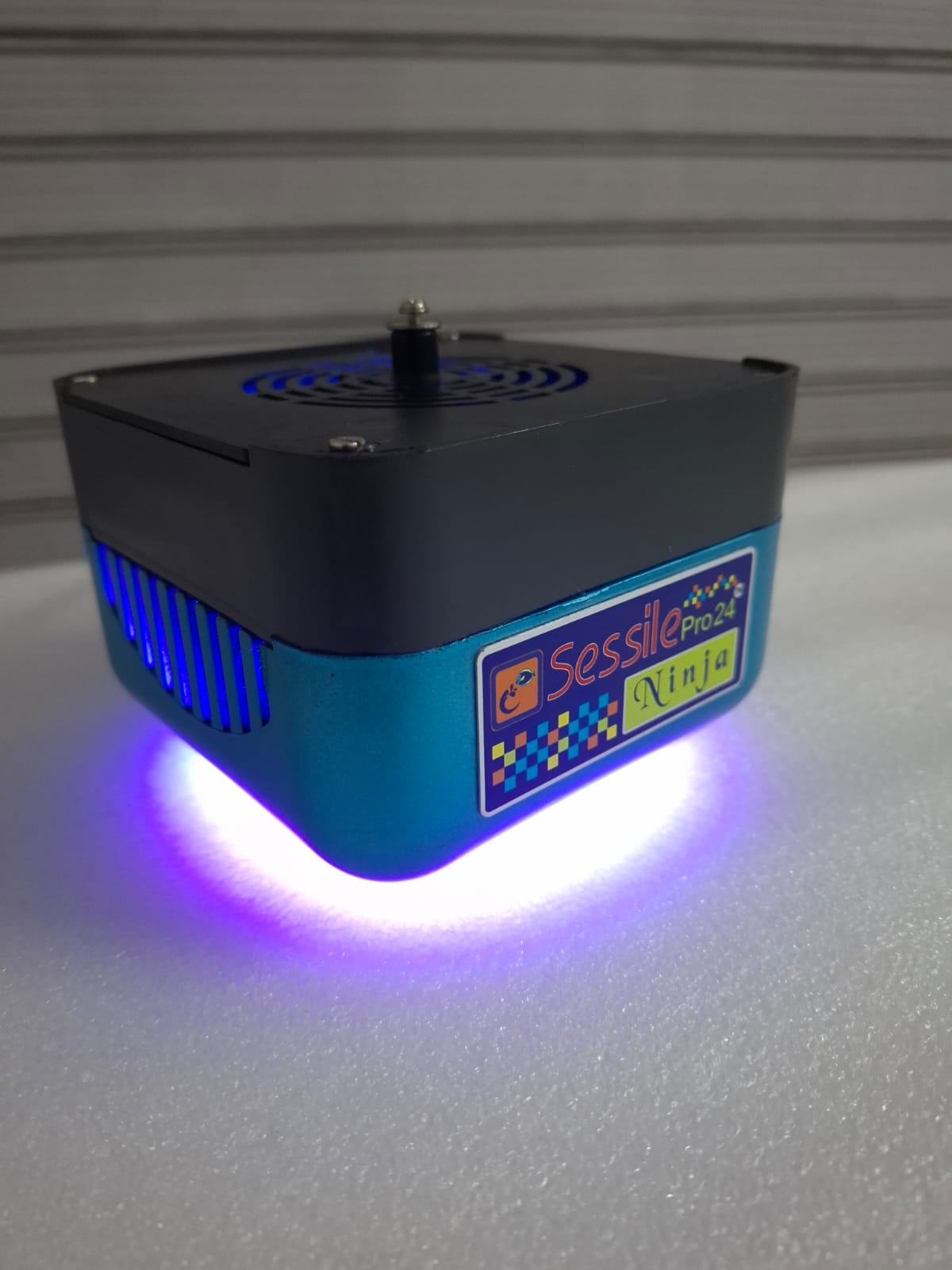 Sessile pro 24 - NInja - Wi-Fi - 60W Image 