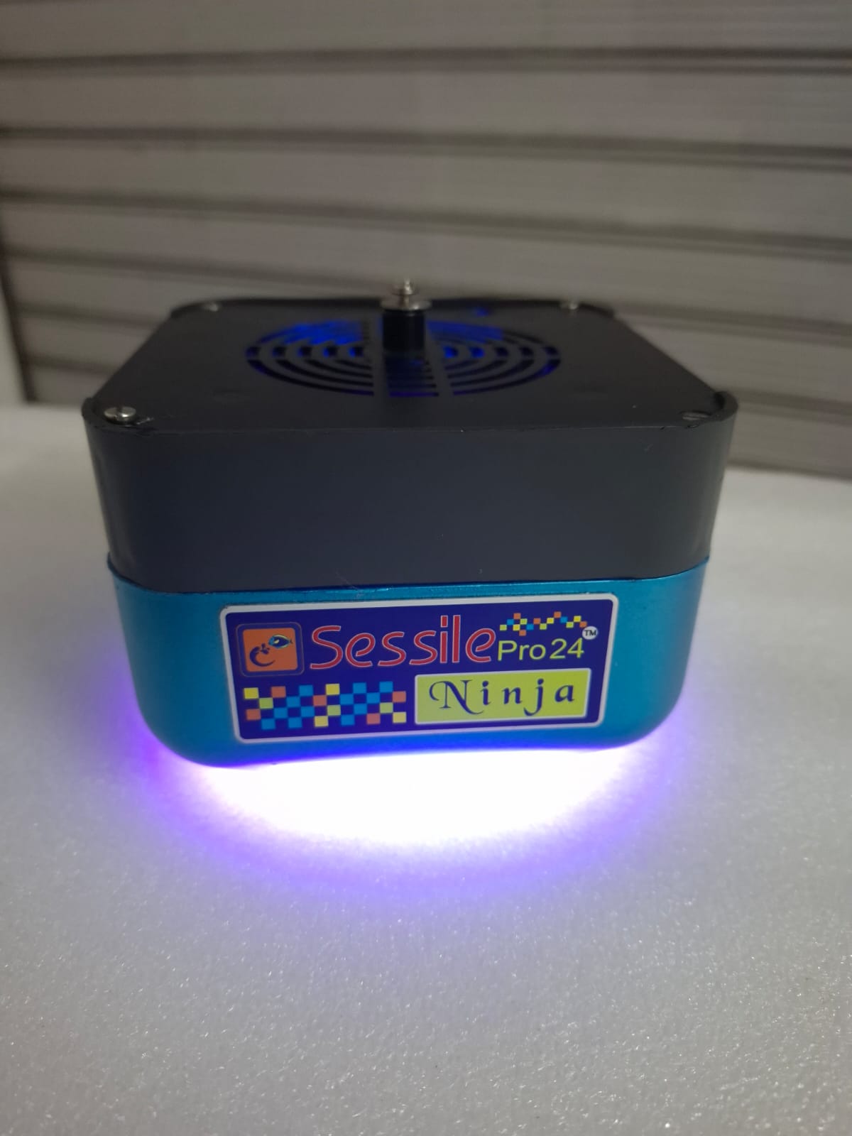 Sessile pro 24 - NInja - Wi-Fi - 60W Image 