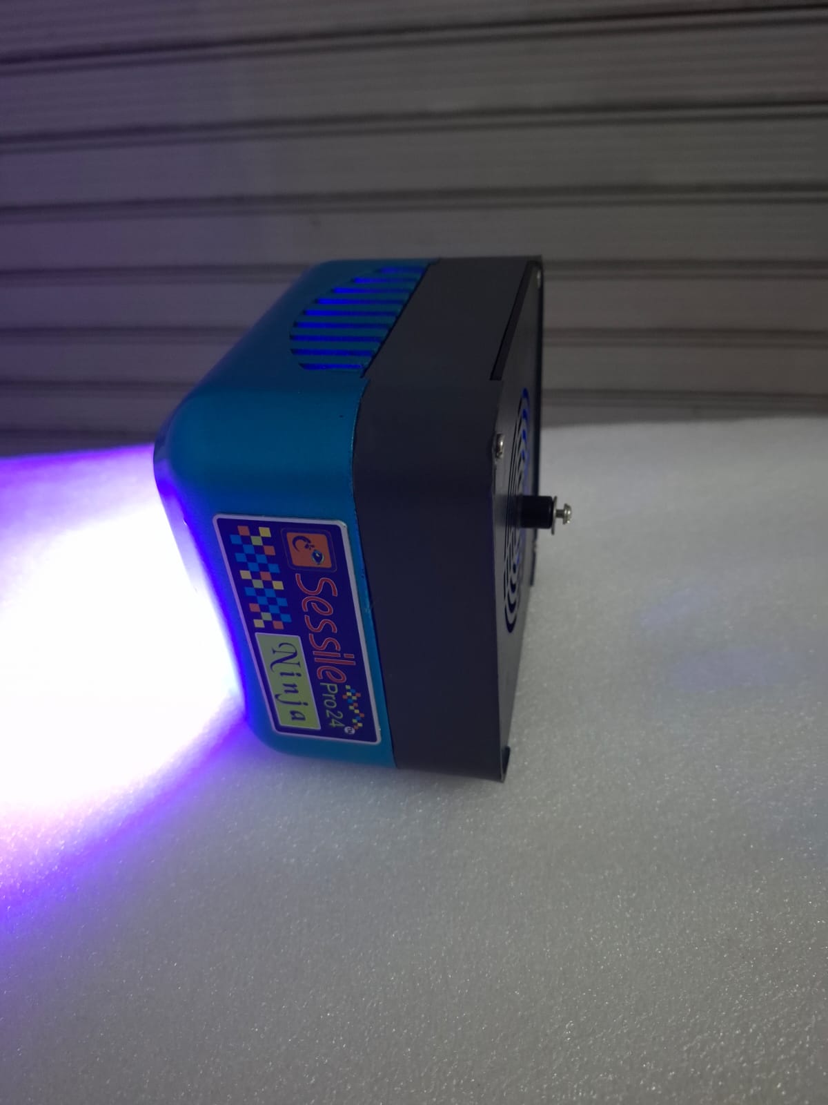 Sessile pro 24 - NInja - Wi-Fi - 60W Image 