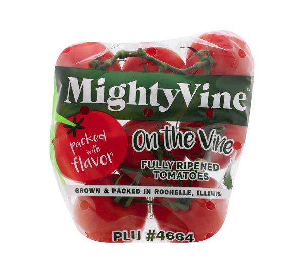 Tomatoes on the Vine Image 