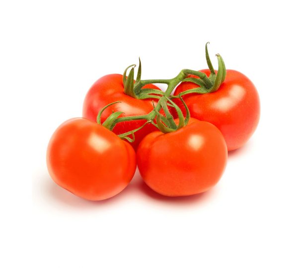 Tomatoes on the Vine Image 