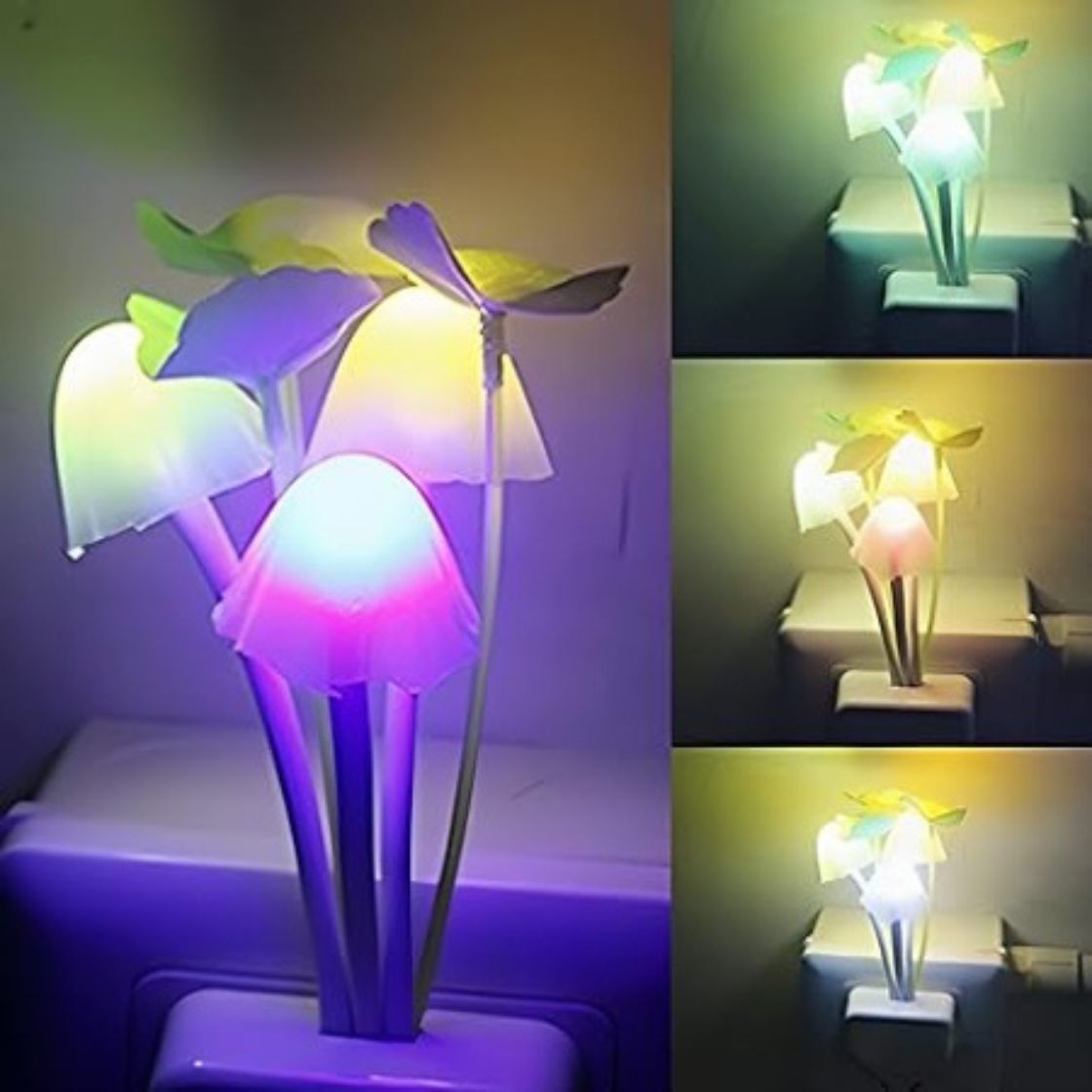 SKU0000000266-12