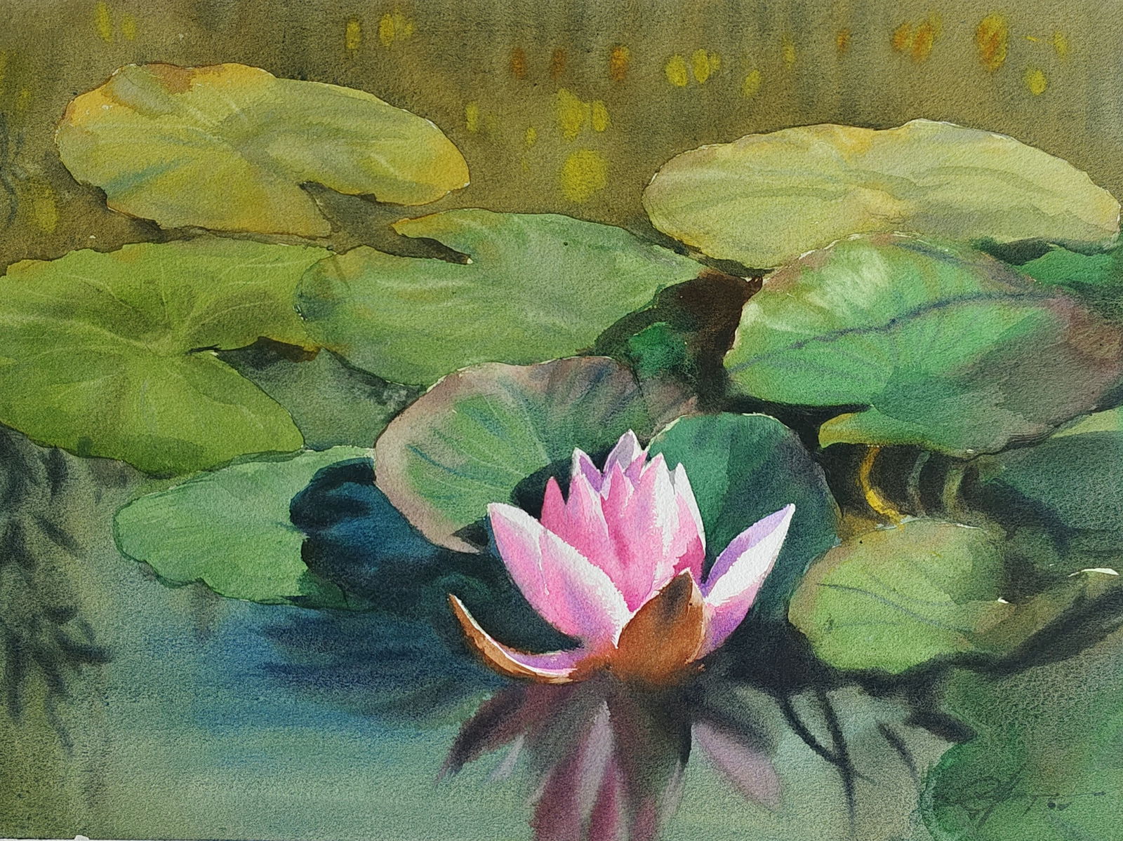 Lotus Image