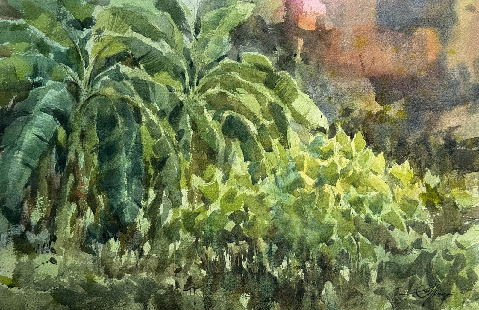 Watercolor Landscape Painting / Banana Trees Painting. Image