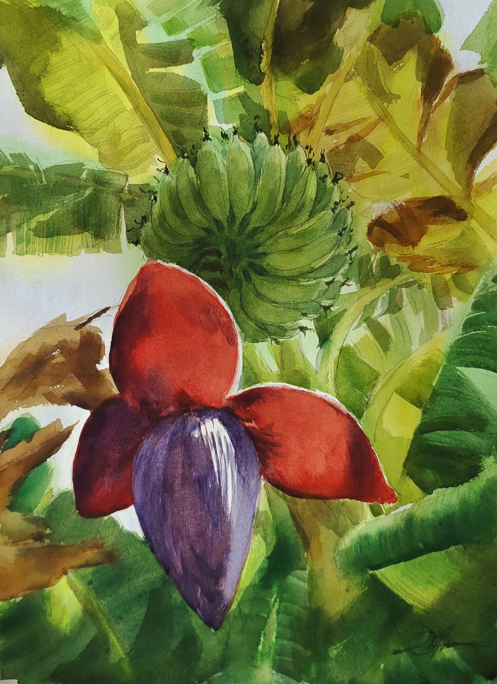 One Of Beautiful Nature Painting Bananas Flower with Banana trees/Beautiful Watercolor Greenery Painting 15x11 inch.  Image