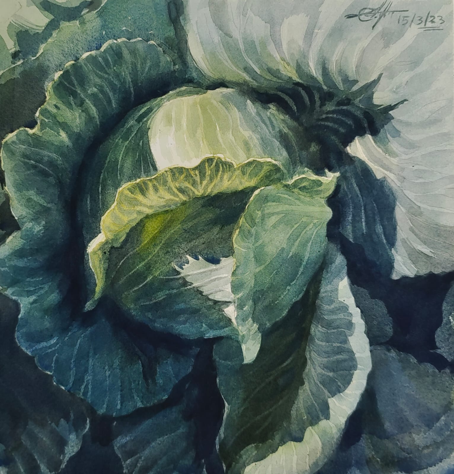 Watercolor Still Life Painting Beautiful Realistic Painting/Green.12x12 inch.   Image