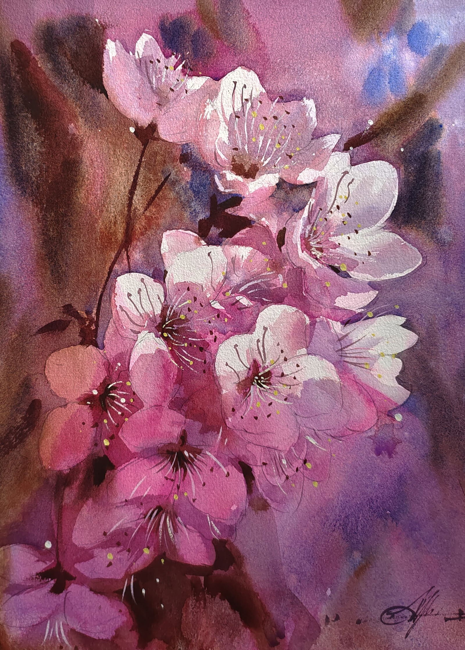 Pink Cherry Blossom/ Watercolor Flowers Painting 15x11 inch. Image