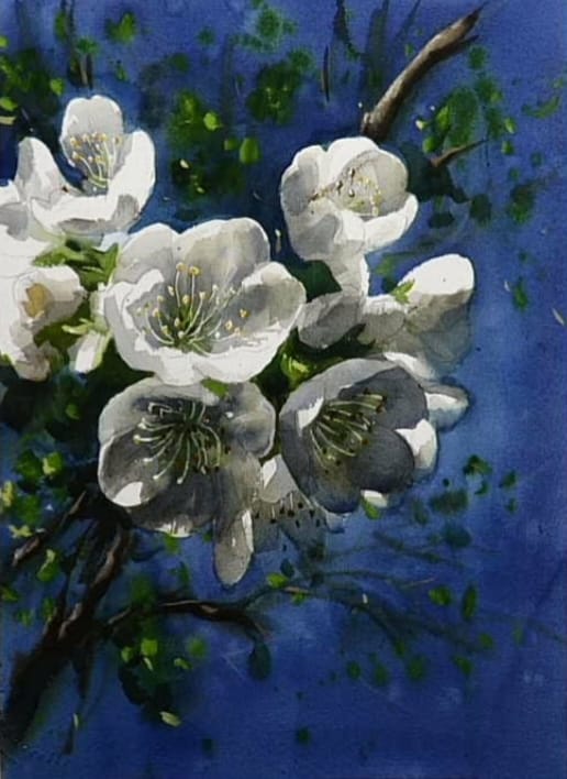 White Flowers/Watercolor Flowers Painting 15x11 inch.  Image