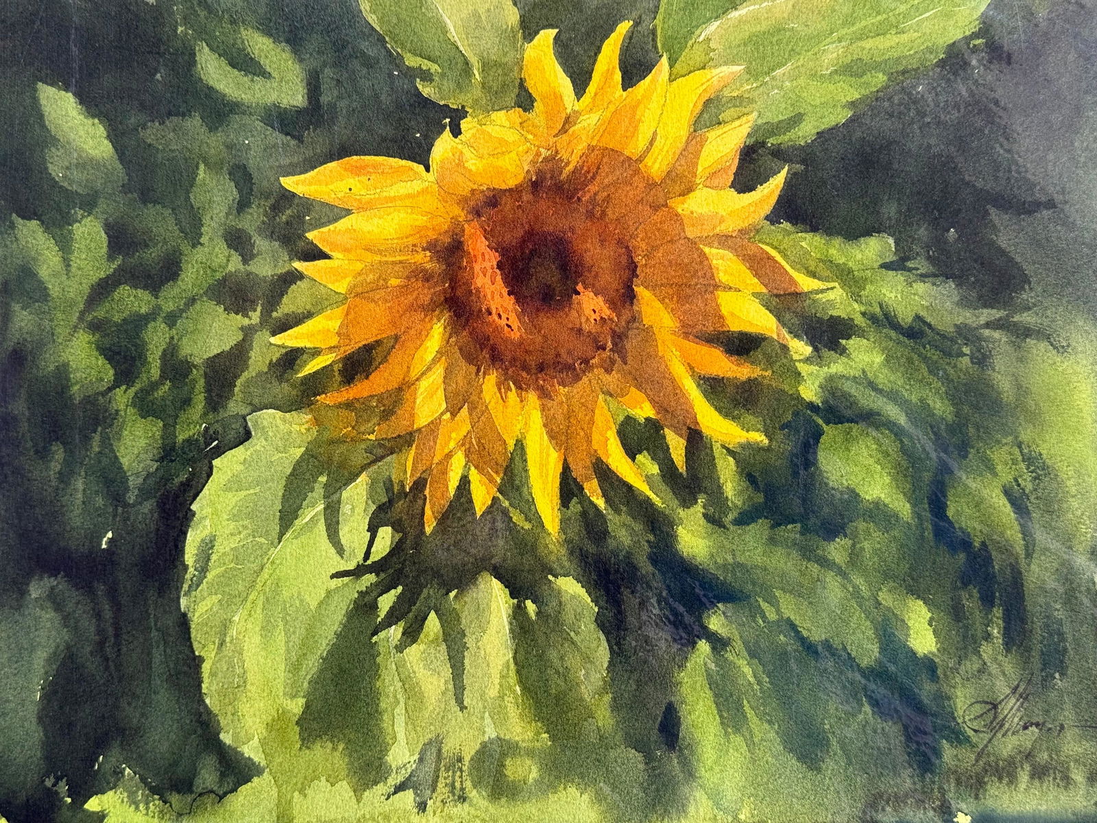 Watercolour Flowers Painting/Sun flower 14x10 inch.  Image