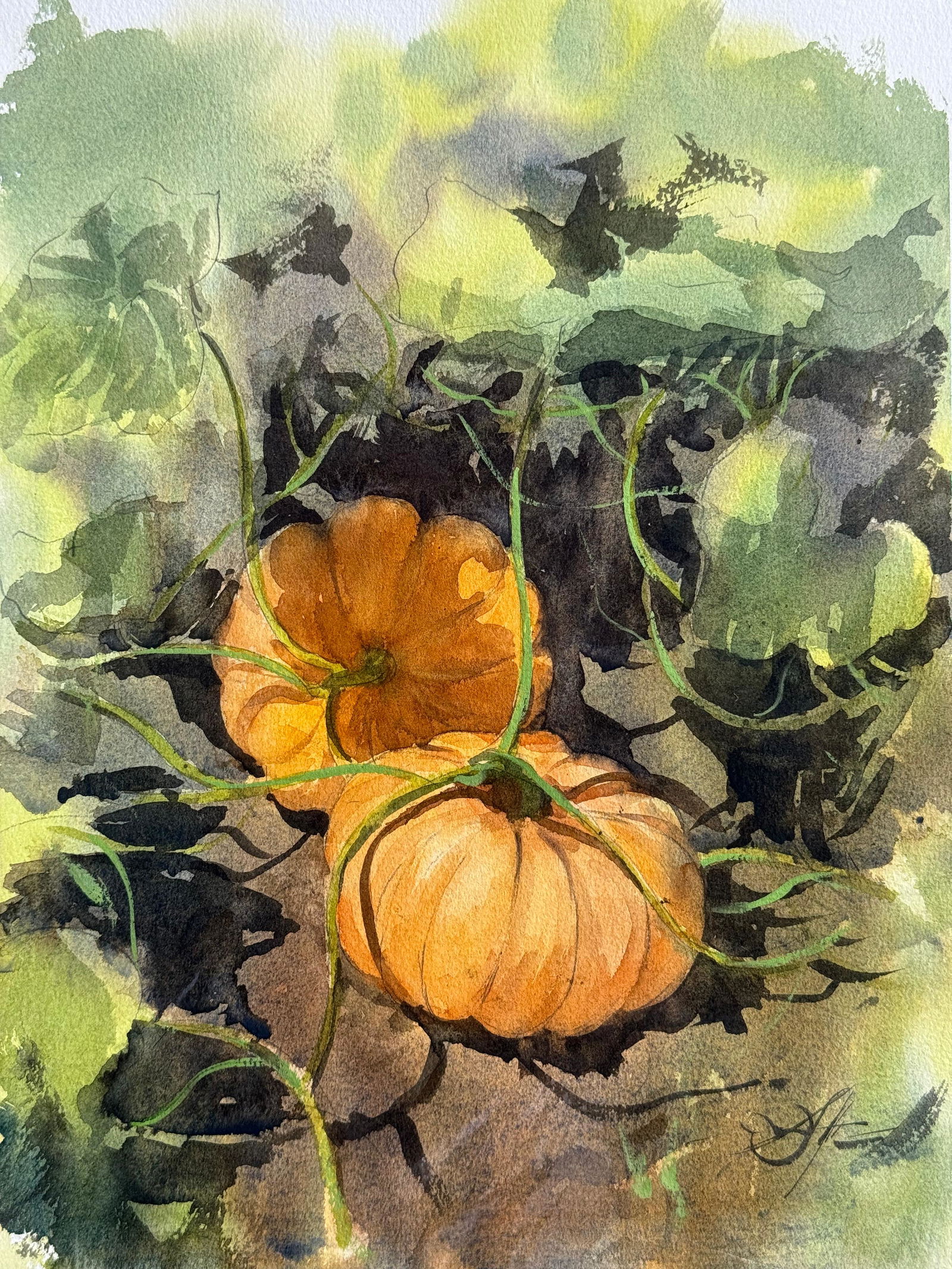 Watercolor Still Life Painting For Drawing Room,Dinning Hall / Pumpkin 15x11 inch. Image