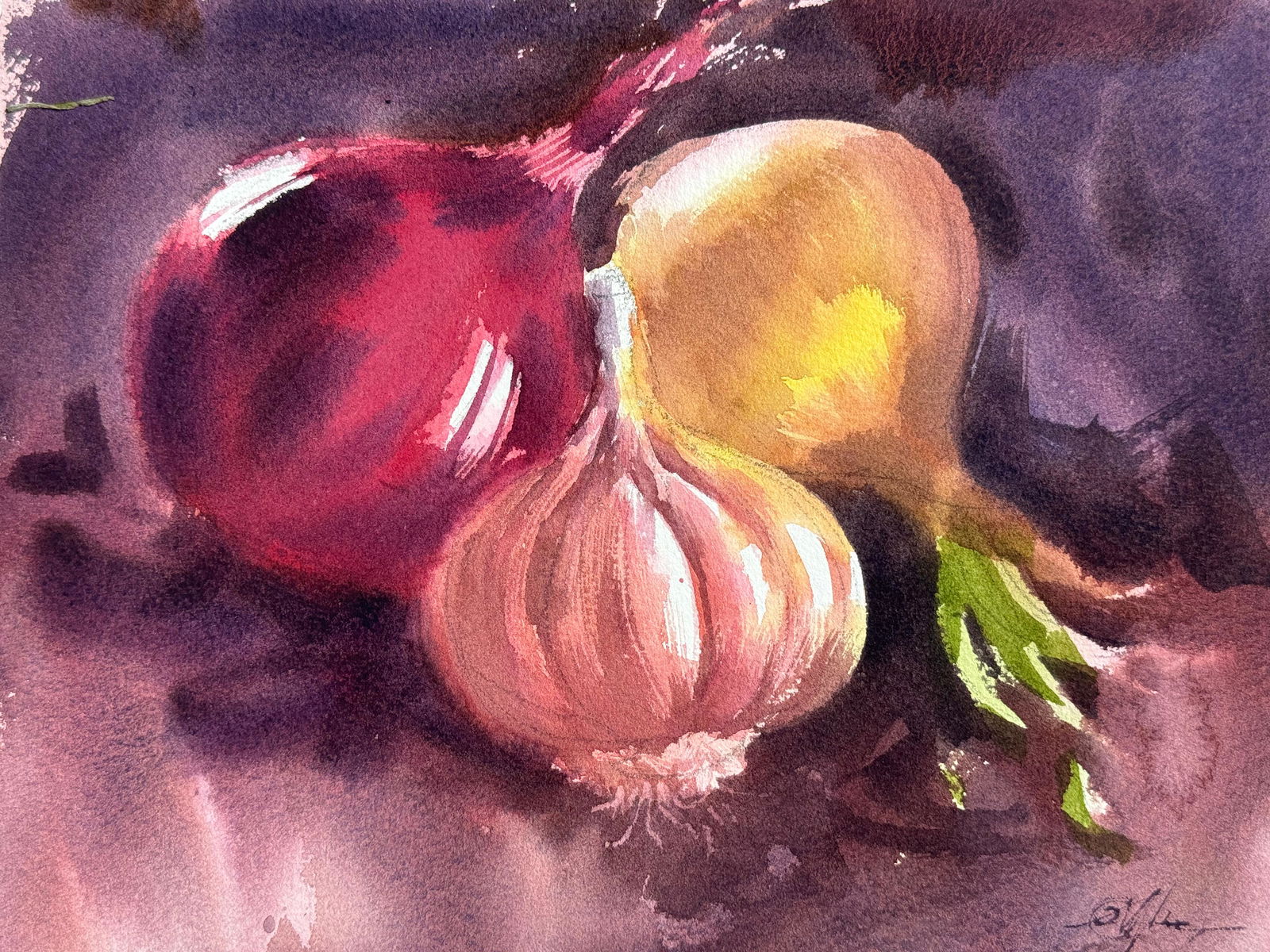 Small Watercolor Still Life Painting For Drawing Room,Dinning Hall / Onion 11x9 inch.  Image