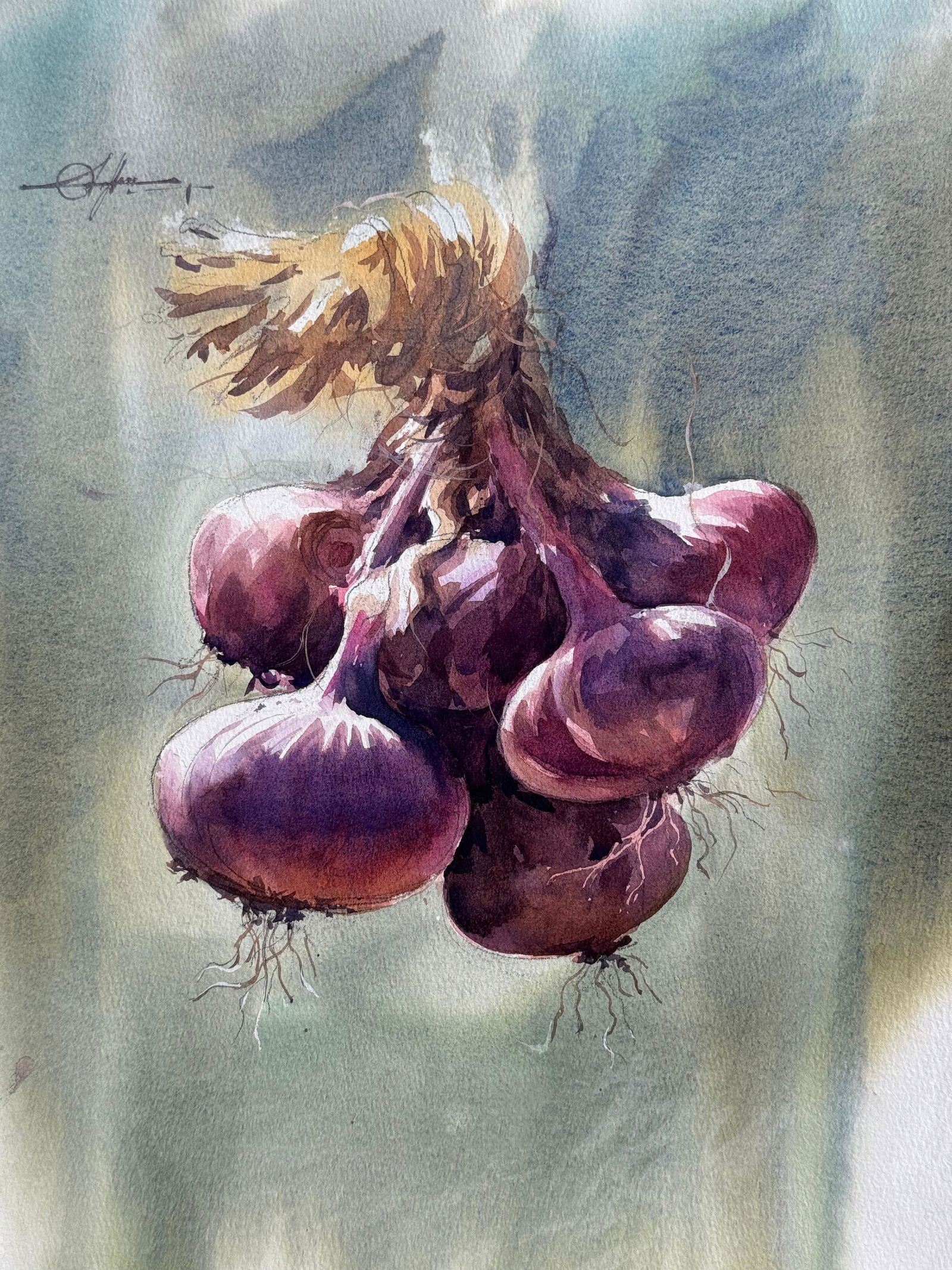 Watercolor Still Life Painting For Office,Drawing Room,Dinning Hall / Onion 15x11 inch.  Image