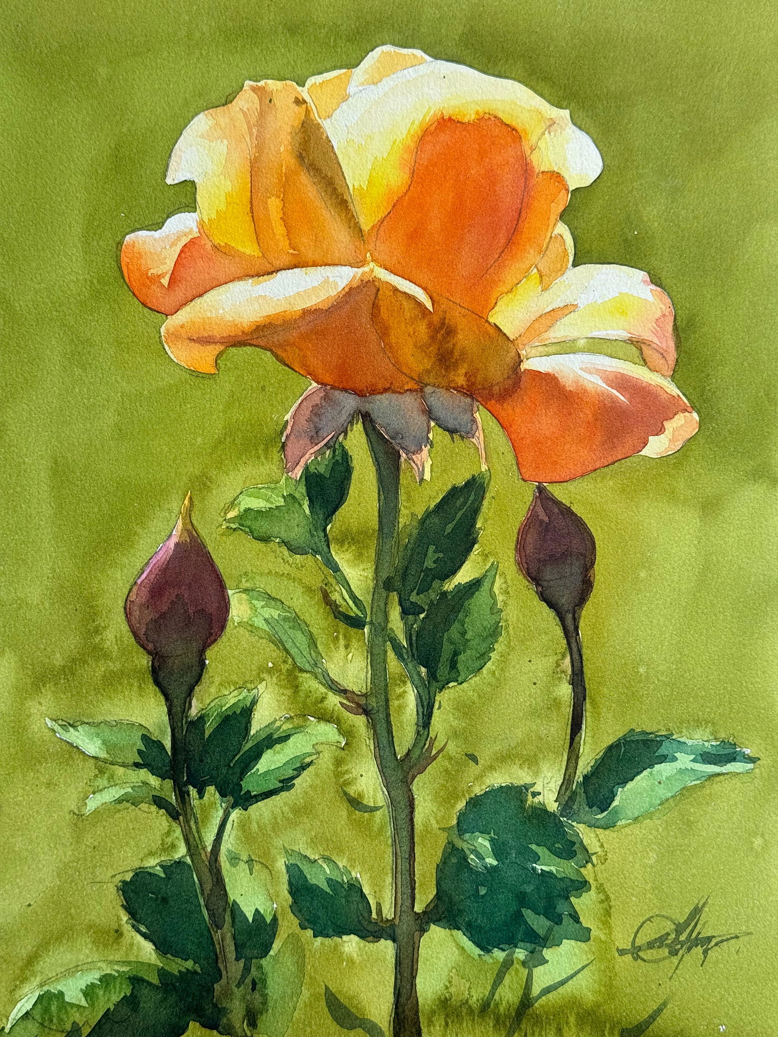 Watercolor Flowers Painting For House Office,Drawing Room,Dinning Hall,Kitchen / Yellow Rose 16x12 inch. Image