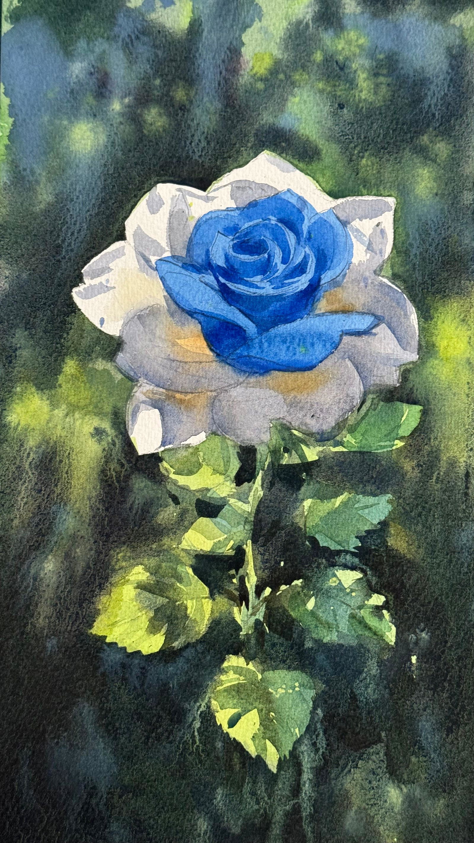 Small Watercolor Flowers Painting For House Office,Drawing Room,Dinning Hall,Kitchen /  White Blue Rose 11x7 inch    Image