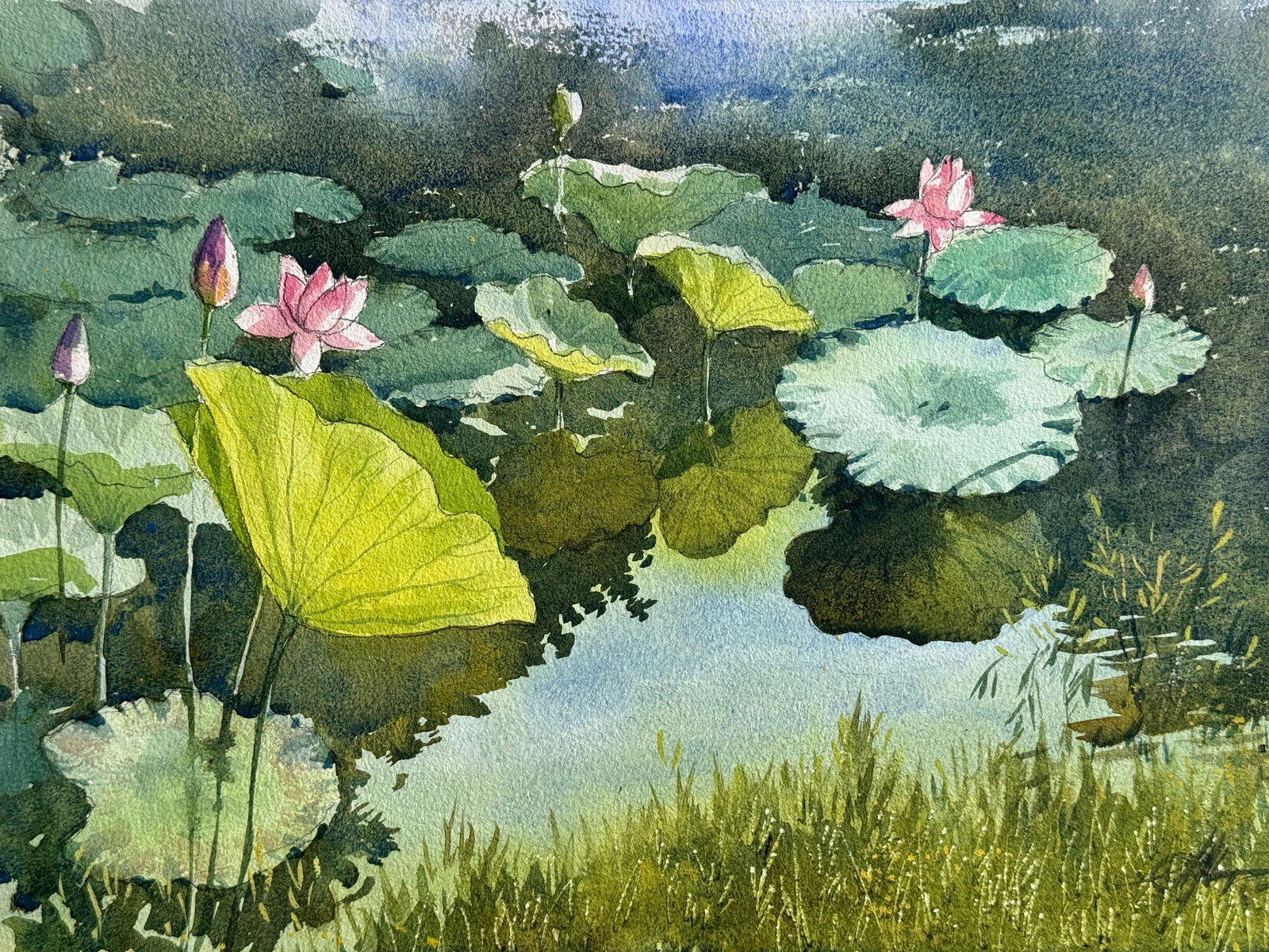 Watercolor Flowers Painting For House Office,Drawing Room,Dinning Hall,Kitchen /  Lotus Pond 15x11 inch   Image