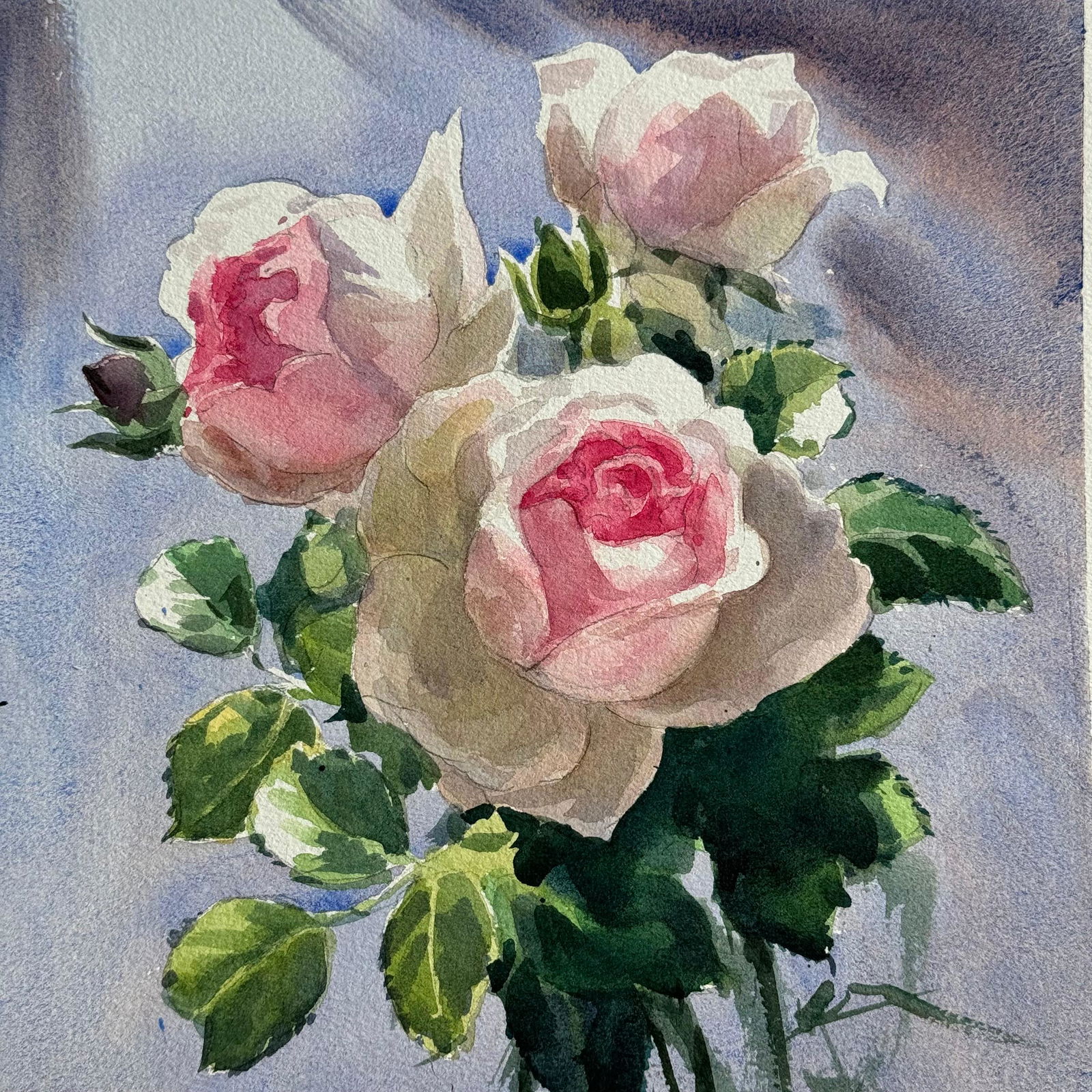 Watercolor Flowers Painting For House Office,Drawing Room,Dinning Hall,Kitchen /  White Rose 11x10 inch.   Image