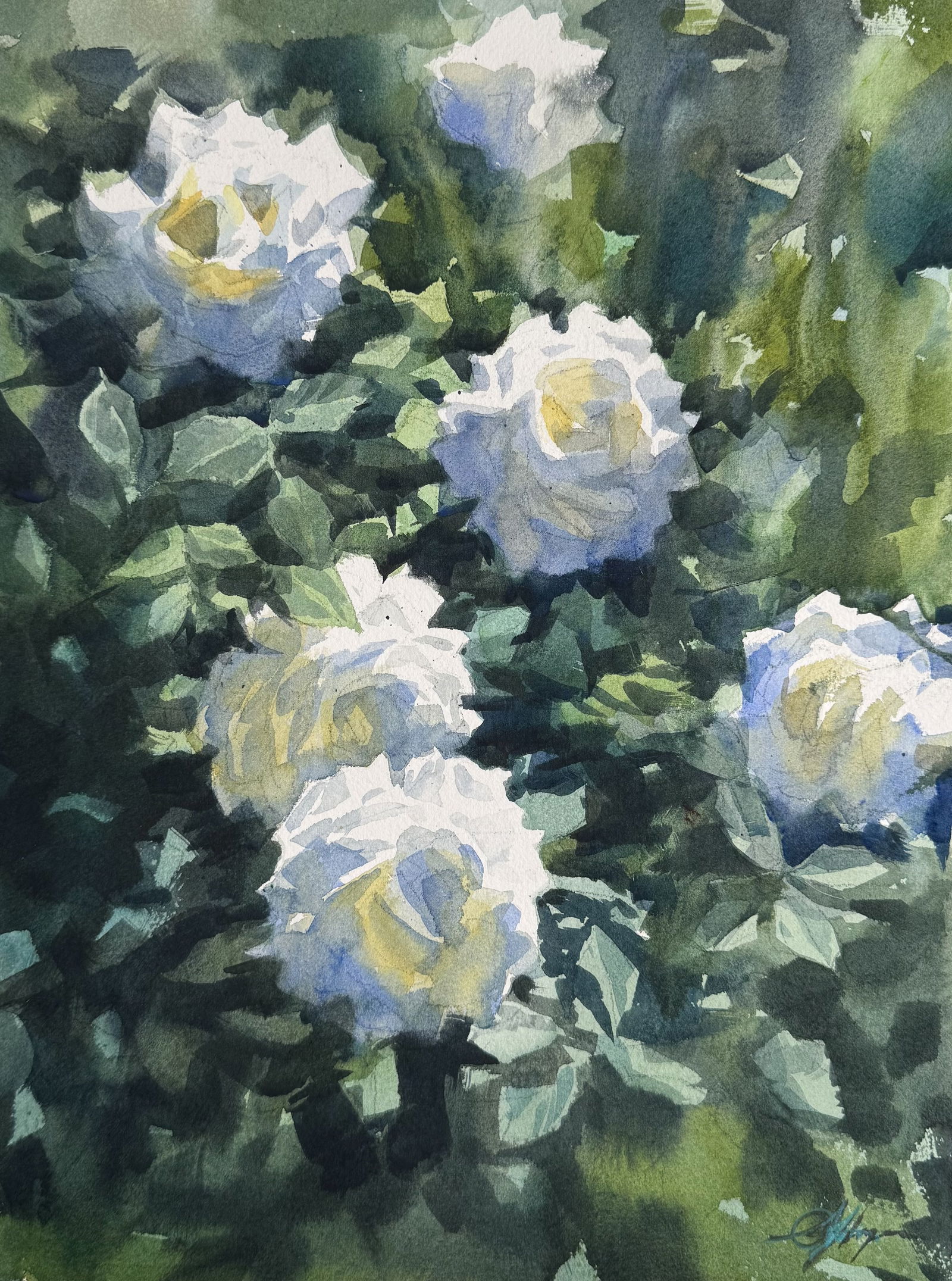 White Roses Beautiful Watercolor Flowers Painting 15x11 inch Image