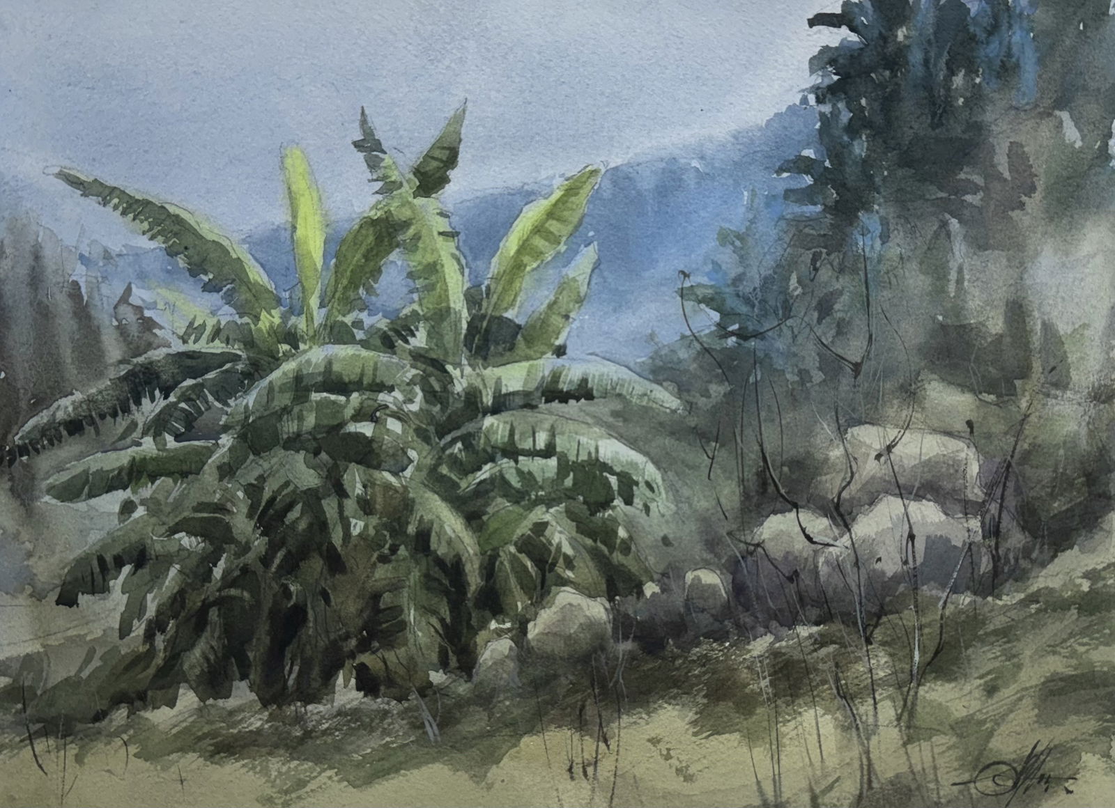 Watercolor Village Painting Banana trees 15x11 inch Image