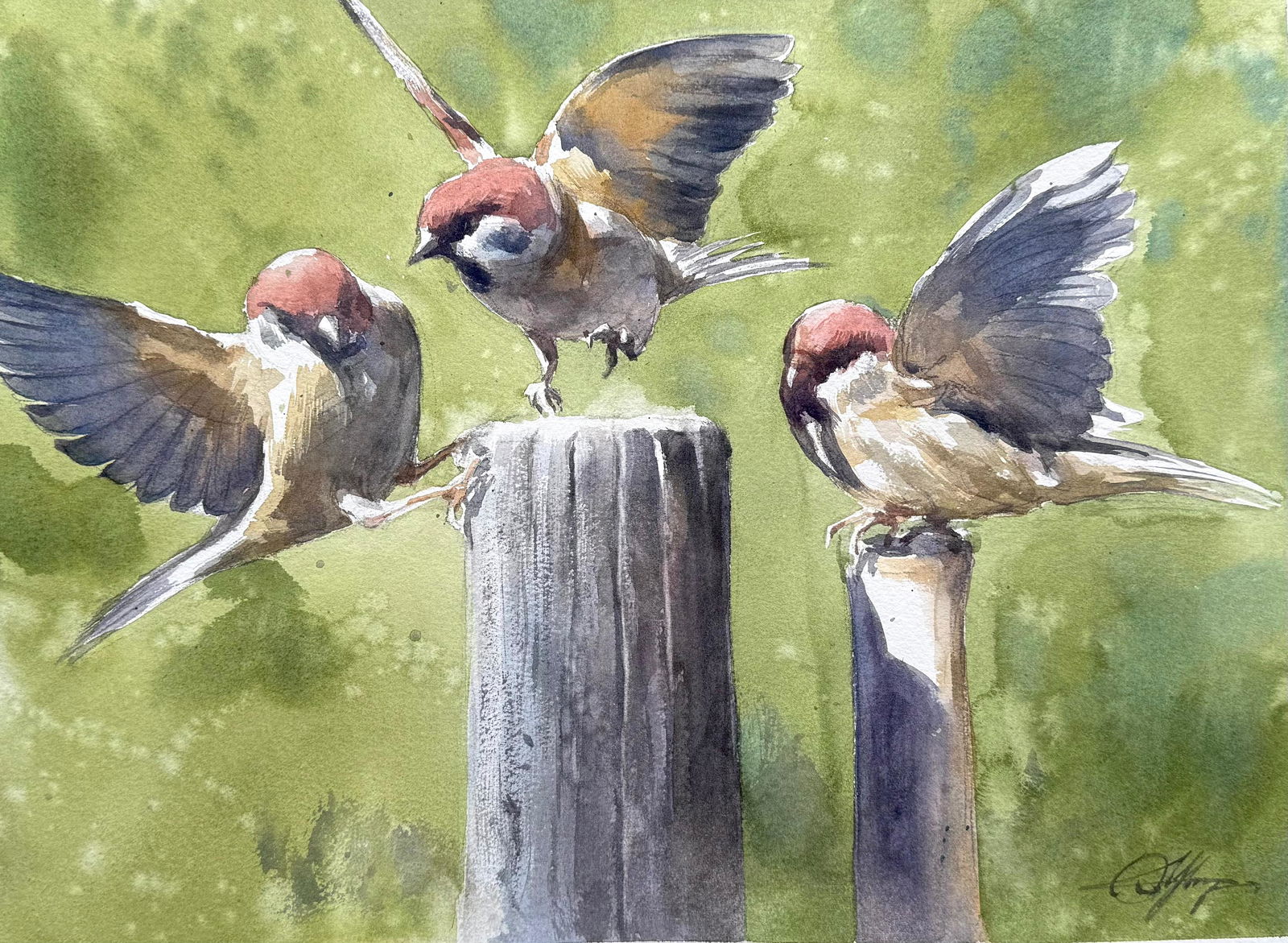 Sold, Beautiful Sparrow Watercolor Painting 15x11 inch Image
