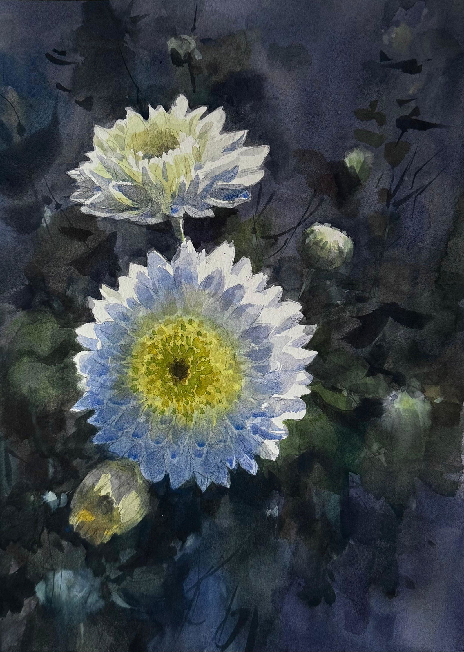Dahlia Flowers Painting 15x11 inch Image