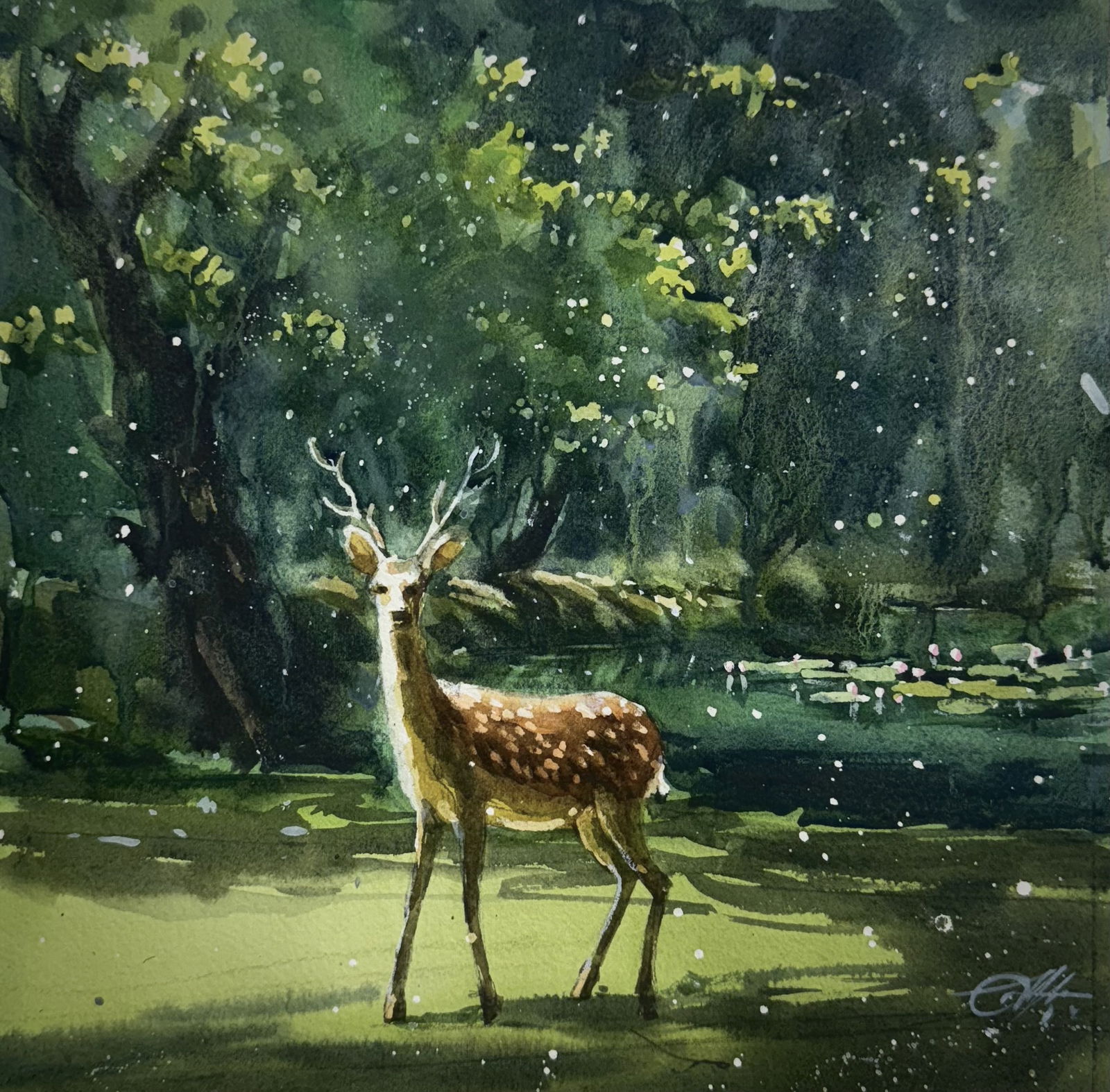 Forest Watercolor Painting, Deer 11x11 inch Image