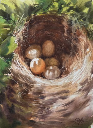  Watercolor Bird Nest Painting , Wild Life,15x11 inch.  Image