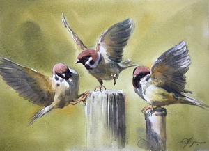 Sold Sparrow Family 16x12 inch Image