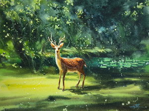 Sold Wild Life Painting 16x12 inch Image