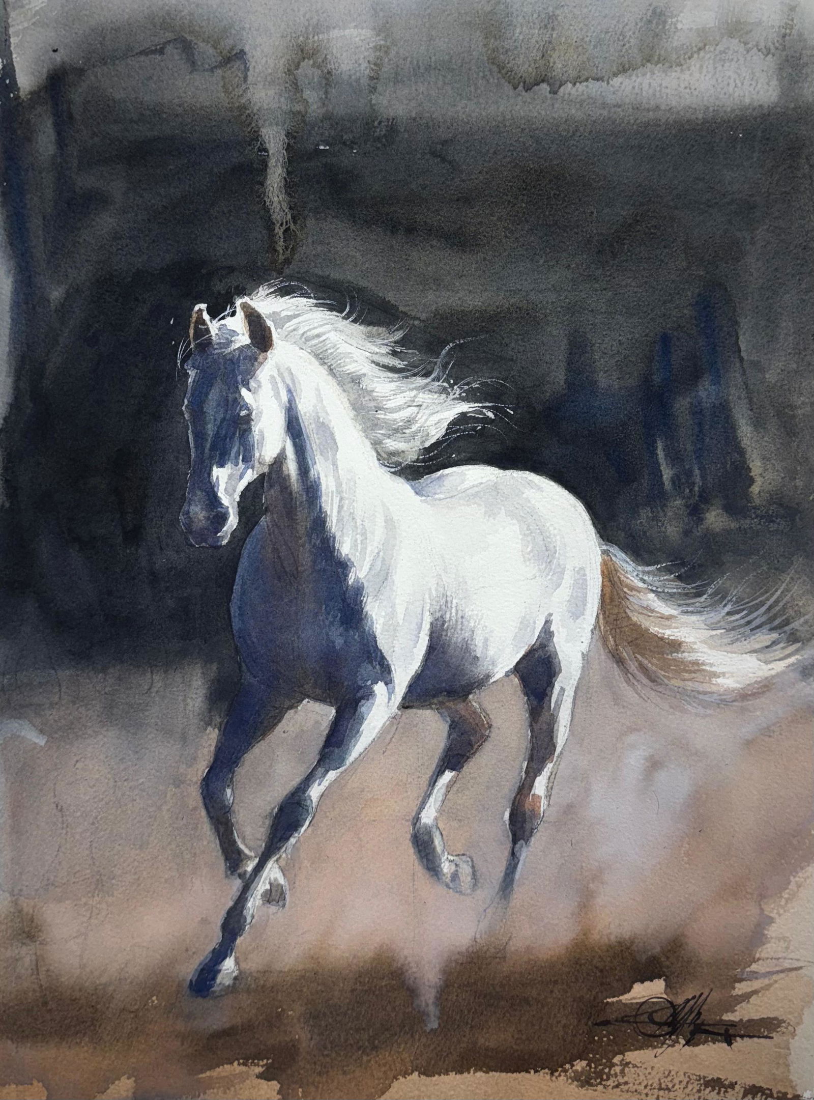 Watercolor White Horse Painting, Wild Life,15x11 inch. Vastu Image