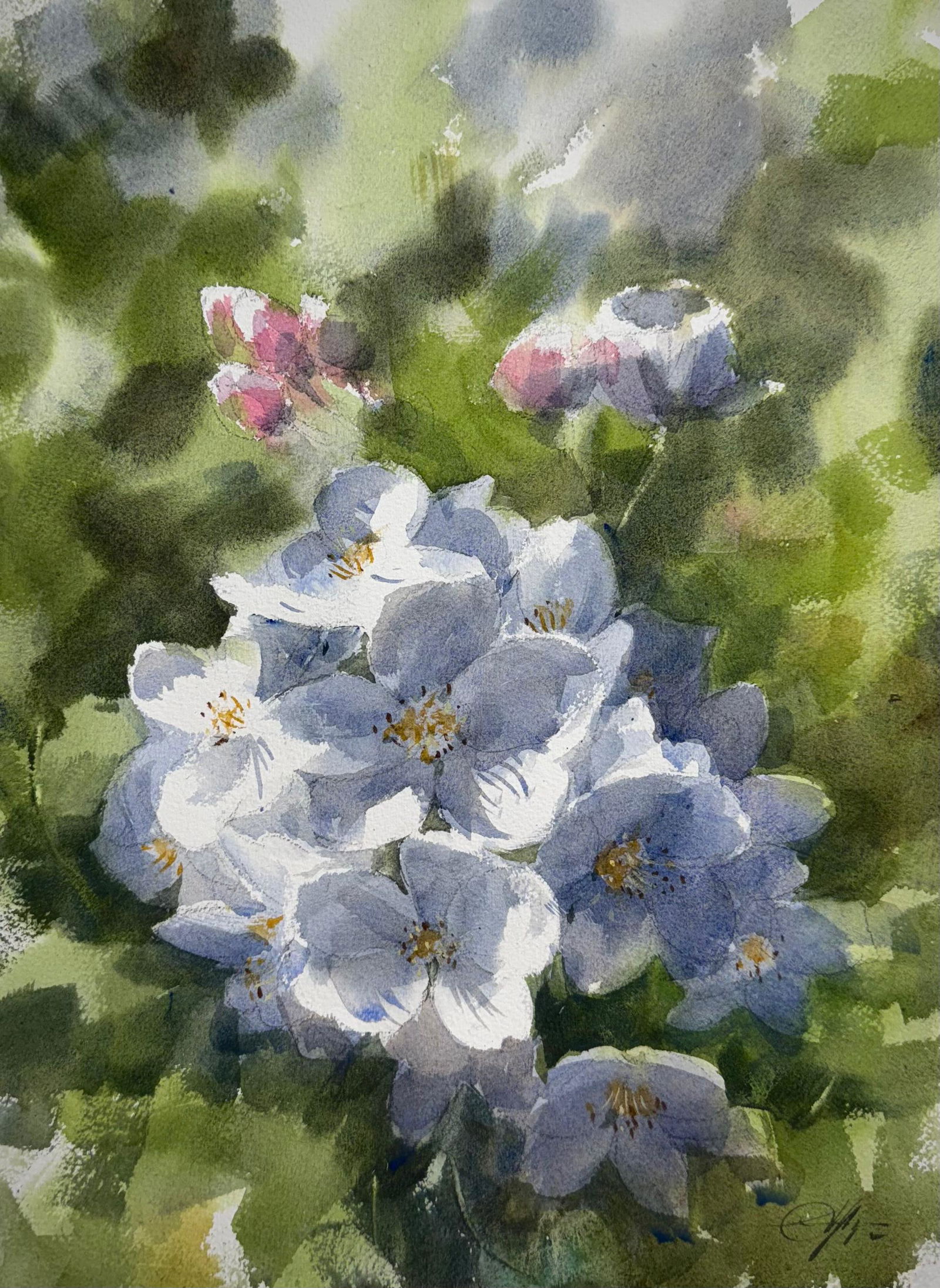 Watercolor Flowers , White Floral 15x11 inch Image
