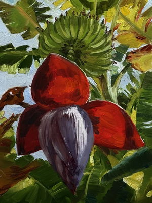 Oil On Canvas, Banana Trees,Botanical Painting 15x12 inch Image
