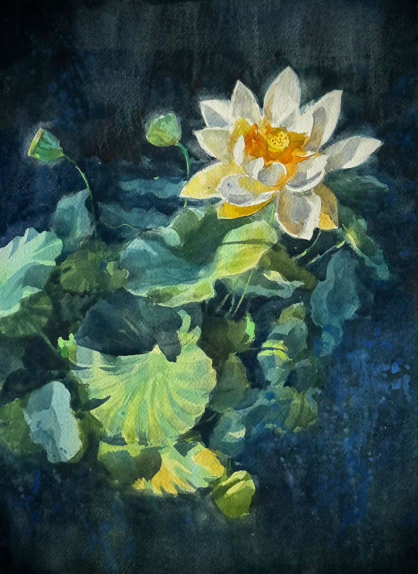 Watercolor Lotus Painting 15x11 inch Image